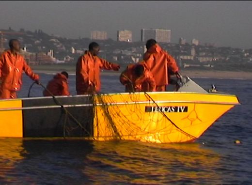 Natal Sharks Board Net Boat